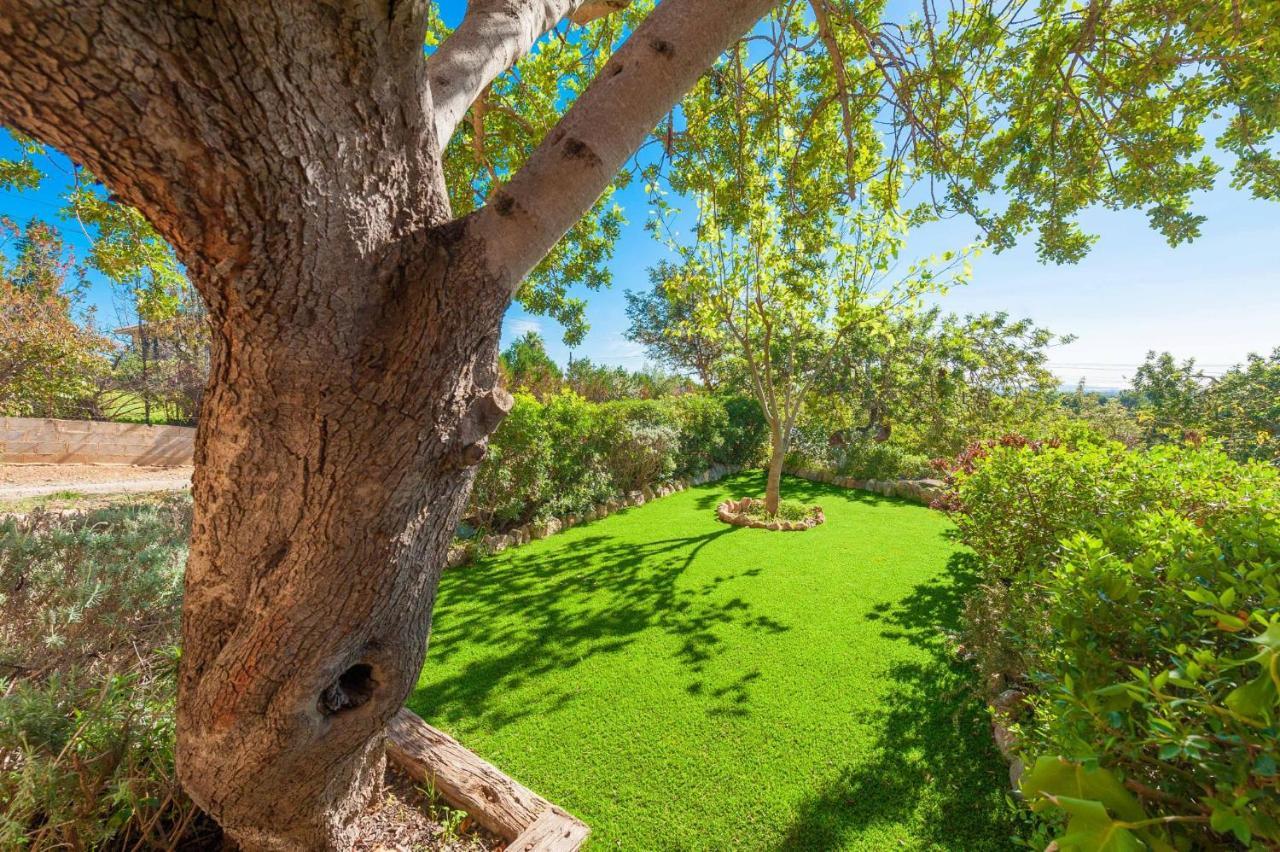 Es Garroveral 3 Bunyola Dış mekan fotoğraf